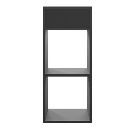 RIM2