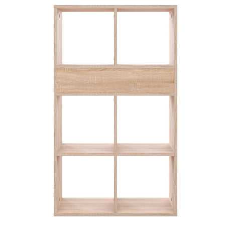 RIM6